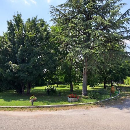 فندق Altedoفي  Casa Massimo المظهر الخارجي الصورة