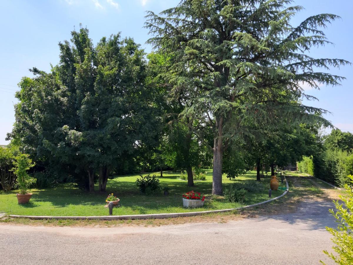 فندق Altedoفي  Casa Massimo المظهر الخارجي الصورة